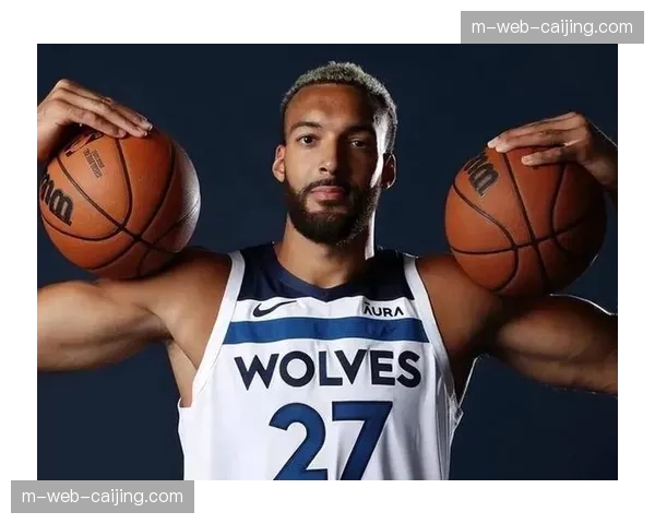 森林狼戈贝尔15篮板护框表现 防守端多次破坏掘金进攻配合